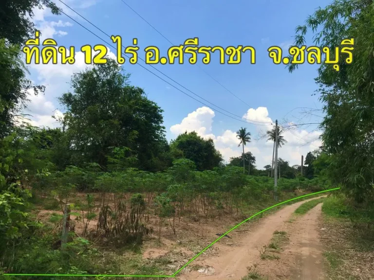 ขายที่ดิน 12 ไร่ ใกล้สวนเสือศรีราชา อศรีราชา จชลบุรี