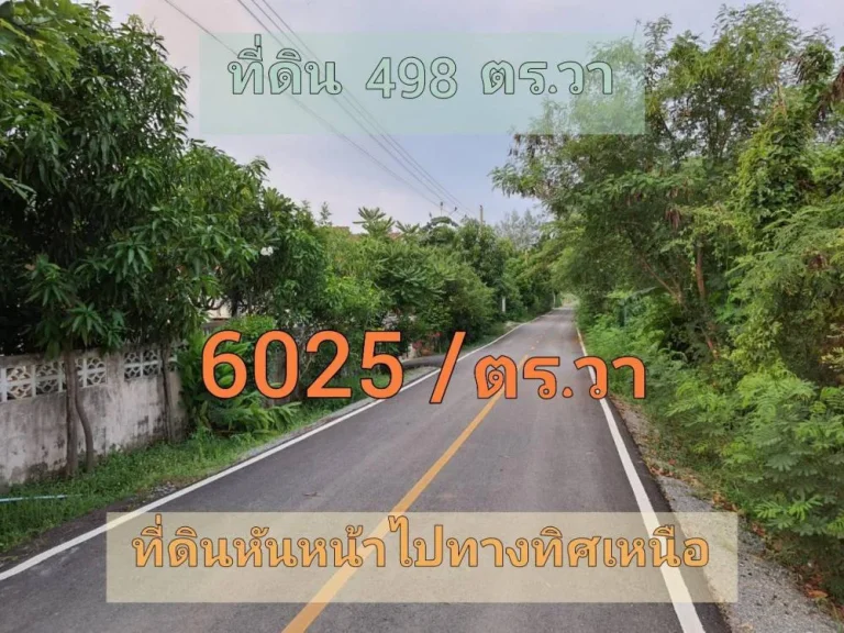 ขายต่ำกว่าราคาตลาด ที่ดิน 498 ตารางวา ติดถนนลาดยาง ไฟฟ้า-ประปาครบ ตำบล หนองเพรางาย อำเภอไทรน้อย นนทบุรี