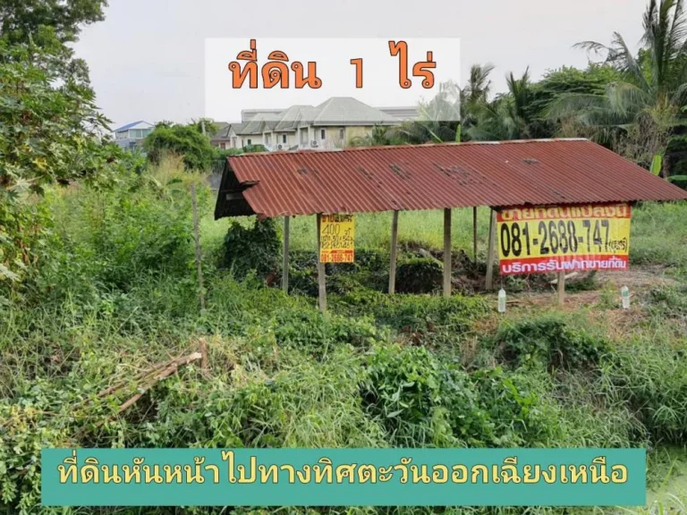 ขายที่ดินใกล้ราชพฤกษ์ 1 ไร่ ถมแล้วบางส่วน ซอยบางพลับ 5 อำเภอปากเกร็ด จังหวัดนนทบุรี