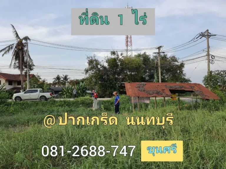 ขายที่ดินใกล้ราชพฤกษ์ 1 ไร่ ถมแล้วบางส่วน ซอยบางพลับ 5 อำเภอปากเกร็ด จังหวัดนนทบุรี