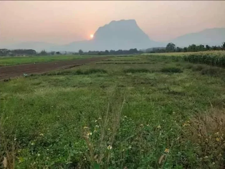 ขายที่ดินเชียงดาว ติดคลองชลประทาน โฉนดพร้อมโอน ราคาถูก