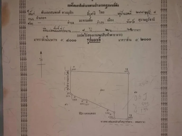 ขายด่วน ที่ดินอยู่บ้านหัวหมากล่าง ติดถนนลาดยาง อำเภอกาญจนดิษฐ์ ตำบลช้างซ้าย จังหวัดสุราษฏร์ธานี