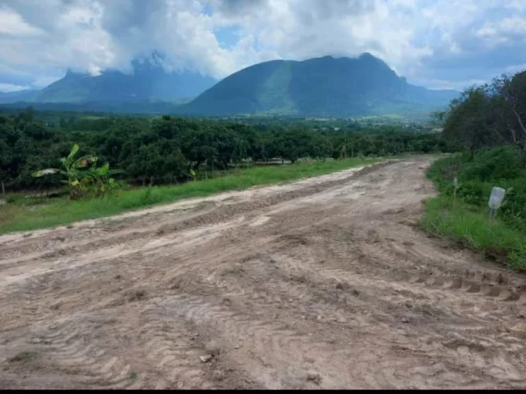 ขายที่ดินเชียงดาววิวดอยหลวง ดอยนางถนนกว้าง 6เมตร ราคาถูก