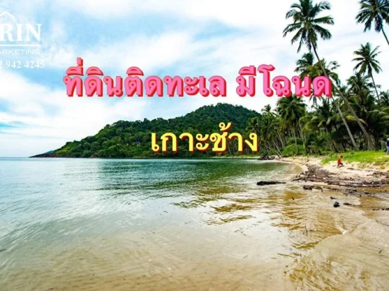 ขายที่ดินติดทะเลเกาะช้างใต้ โฉนด 14 ไร่ ทะเล สวย หาดทรายยาวประมาณ 700 เมตร