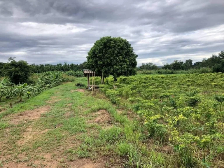 ขายที่ดินติดแม่น้ำปิง 120 ไร่ รวมพื้นที่งอกเกาะส่วนตัว อแม่แตง เชียงใหม่