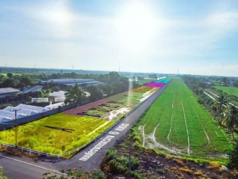 ขายที่ดิน ปทุมธานี หนองเสือ ขนาดกำลังดี 200 ตรว คลอง 9 หนองเสือ ปทุมธานี