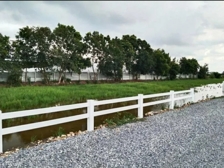 ขายที่ดิน ปทุมธานี หนองเสือ ขนาดกำลังดี 200 ตรว คลอง 9 หนองเสือ ปทุมธานี