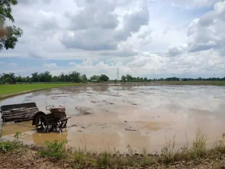 ขายที่นาเมืองใหม่ 105 ไร่ ราคาถูกติดถ 2 ด้าน ติดคลองท่าลาด จฉะเชิงเทรา