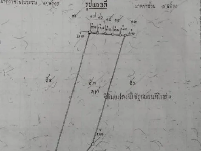 ขายที่ดินคลอง 21 อำเภอบางน้ำเปรี้ยว จังหวัดฉะเชิงเทรา