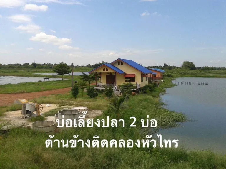 ขายที่ดินบางคล้า 18ไร่ ไร่ละ 1ล้าน หัวไทร อำเภอบางคล้า ฉะเชิงเทรา