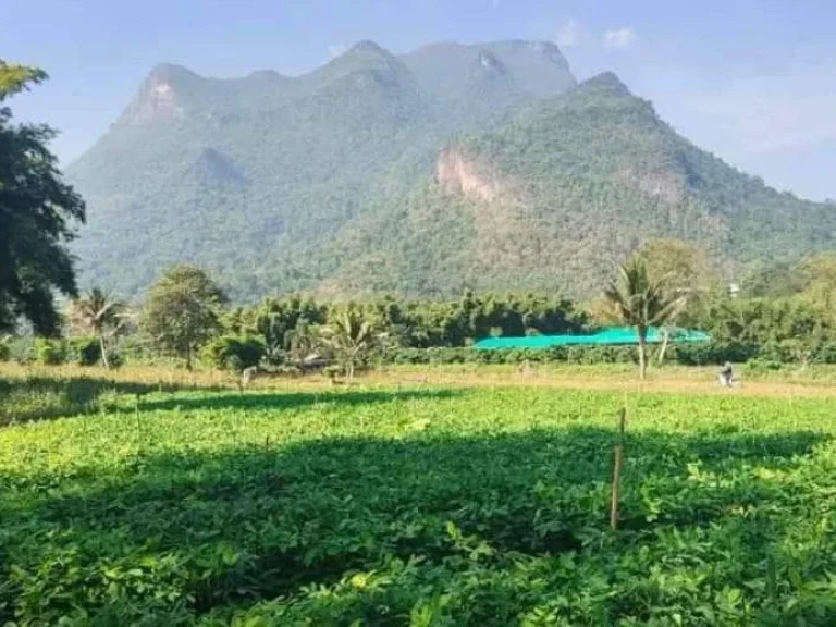 ขายที่ดินวิวดอยหลวง มีบ่อน้ำ เหมาะทำบ้านสวน ราคาถูก