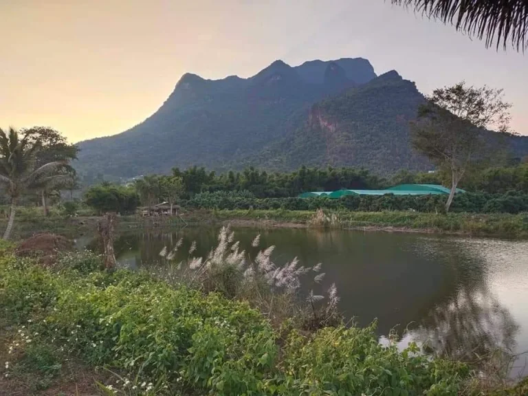 ขายที่ดินวิวดอยหลวง มีบ่อน้ำ เหมาะทำบ้านสวน ราคาถูก