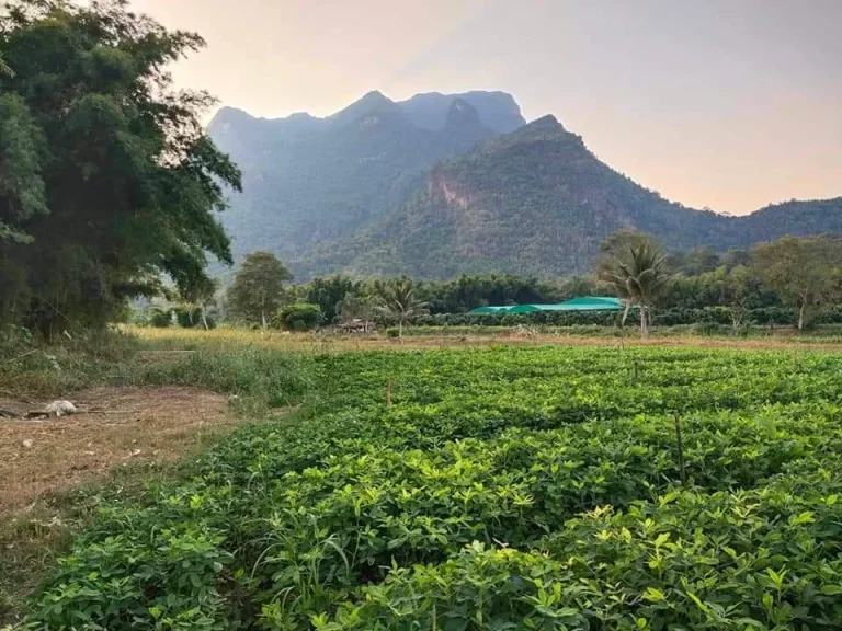 ขายที่ดินวิวดอยหลวง มีบ่อน้ำ เหมาะทำบ้านสวน ราคาถูก