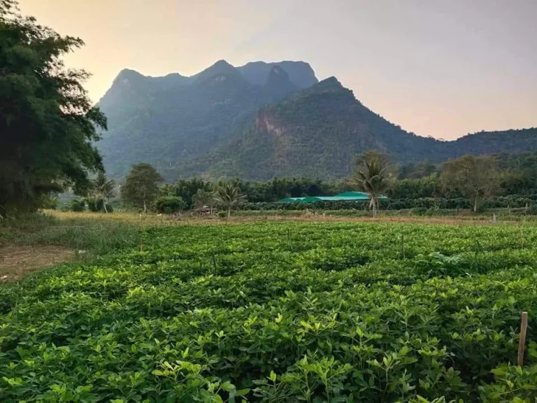 ขายที่ดินวิวดอยหลวง มีบ่อน้ำ เหมาะทำบ้านสวน ราคาถูก