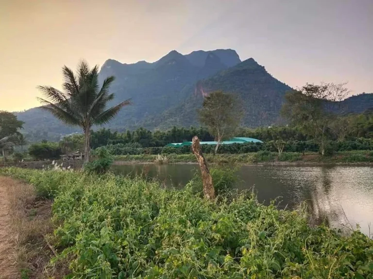 ขายที่ดินวิวดอยหลวง มีบ่อน้ำ เหมาะทำบ้านสวน ราคาถูก