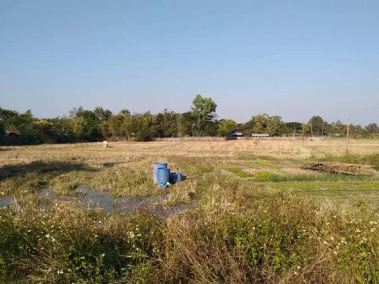 ขายที่นาที่ดินที่ทำการเกษตร จังหวัดลำปาง สามารถใช้ทำนา หรือ การเกษตร และสร้างสิ่งปลูกสร้างอื่นๆได้