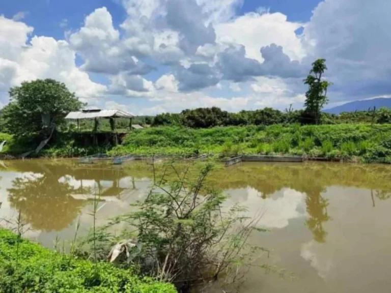 ขายที่ดินบ้านวังจ๊อม ติดน้ำไหลผ่าน เชียงดาว ราคาน่าลงทุน