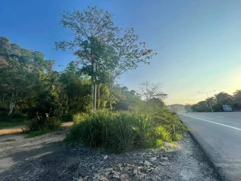 ขายที่ดินป่าเมี่ยง ดอยสะเก็ต ติดถนนสายหลัก ทำเลทอง ราคาน่าลงทุน