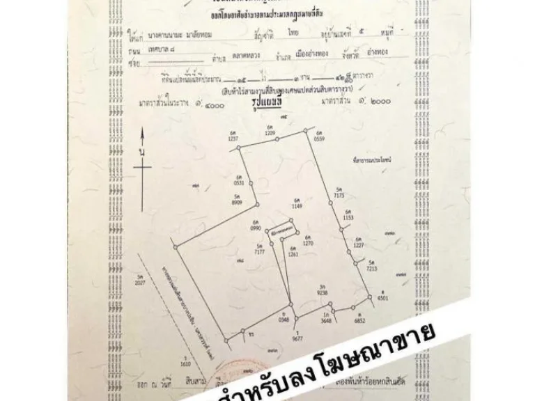 ขายและปล่อยเช่าที่ดินทำเลอนาคต ติดถนนสายเอเซีย ที่ดินถม อไชโย จอ่างทอง