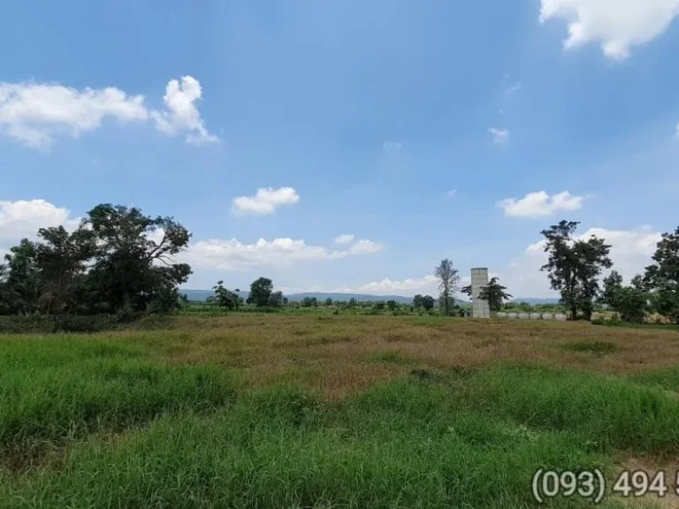 ขายที่ดินลาดบัวขาวสีคิ้ว 16 ไร่ 379 ตรว แถม พร้อมสักทอง พะยูงฯ สุดคุ้ม ข้างโรงฟักไข่CPหายาก