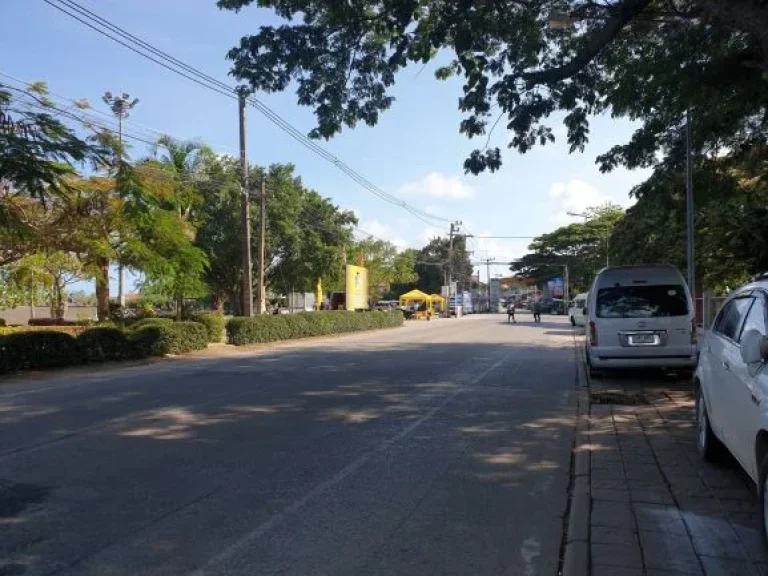 ขายที่ดิน ผืนสวย ใกล้ชายหาด อุดมด้วยต้นไม้ใหญ่ สวยมาก จระยอง