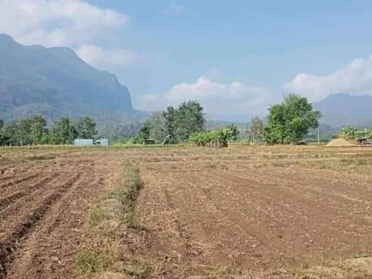 ขายที่นา วิวดอยหลวง วิวดอยนาง เชียงดาวโฉนดพร้อมโอน