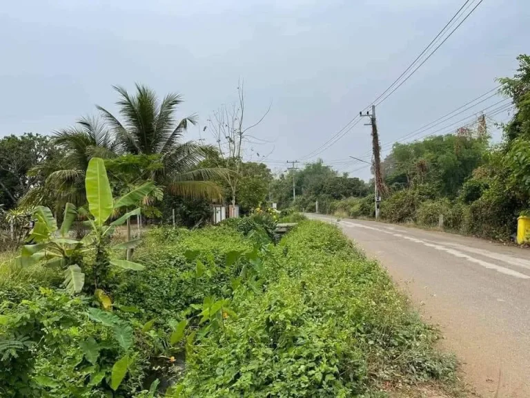 ขายที่ดินบ้านปาบง สารภี ห่างตลาดเจริญเจริญเพียง3km