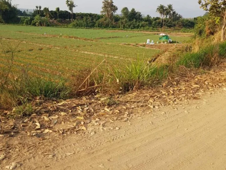 ขายที่ดินพื้นที่สวย บ้านทุ่งศาลา ตกลบดอนเปา อำเภอแม่วาง จังหวัดเชียงใหม่ พื้นที่ 9 ไร่ ไร่ละ 800000บาท สามารถทำการเกษตรได้และใกล้แหล่งน้ำ