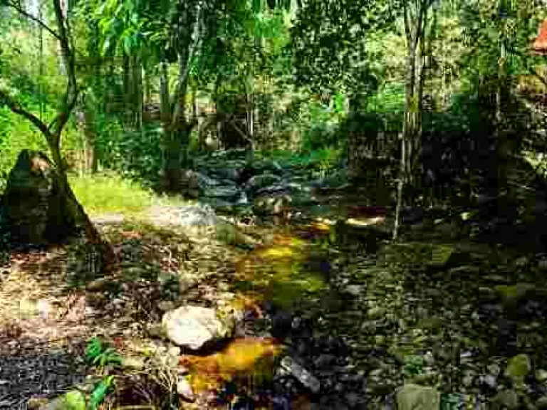 ขายที่ดิน บ้านปางจำปี อำเภอแม่ออน จังหวัดเชียงใหม่