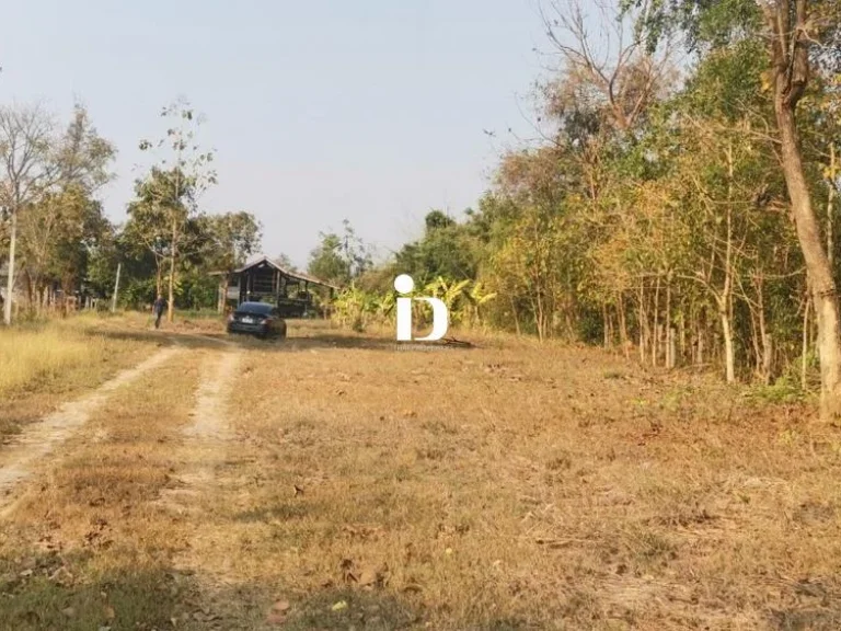 ขายที่ดินพร้อมบ้านเดี่ยว อำเภอเมือง จังหวัดหนองบัวลำภู