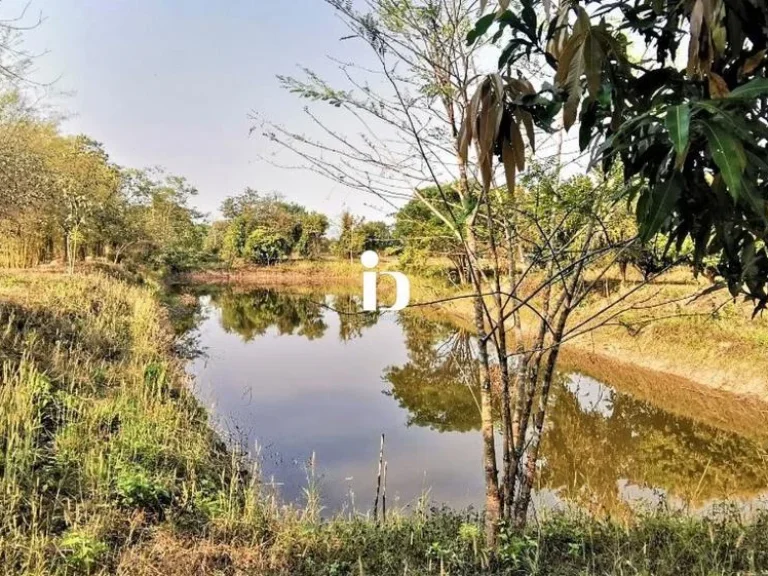 ขายที่ดินพร้อมบ้านเดี่ยว อำเภอเมือง จังหวัดหนองบัวลำภู