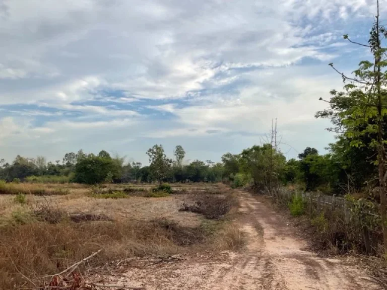 ขายที่ดินพร้อมบ้านเดี่ยว อุบลราชธานี อเดชอุดม ตนาส่วง ถนนเดช ที่ดินติดถนนยางมะตอย น้ำ ไฟฟ้า อินเตอร์เน็ตครบ