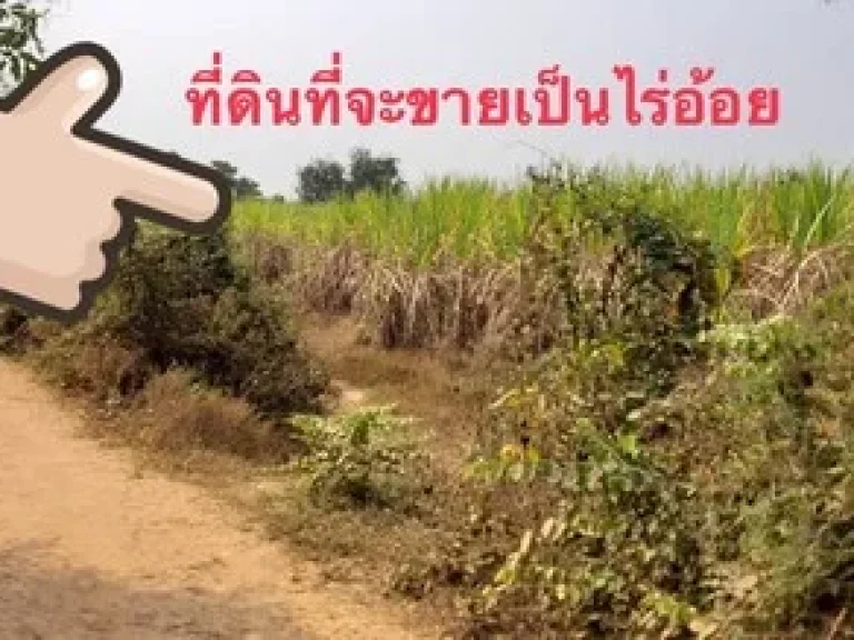 ขายที่ดินพื้นที่ 14 ไร่ 3 งาน 55 ตรวา อเมือง จพิจิตร