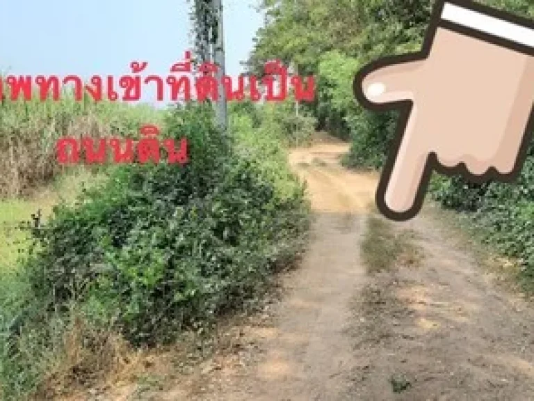 ขายที่ดินพื้นที่ 14 ไร่ 3 งาน 55 ตรวา อเมือง จพิจิตร