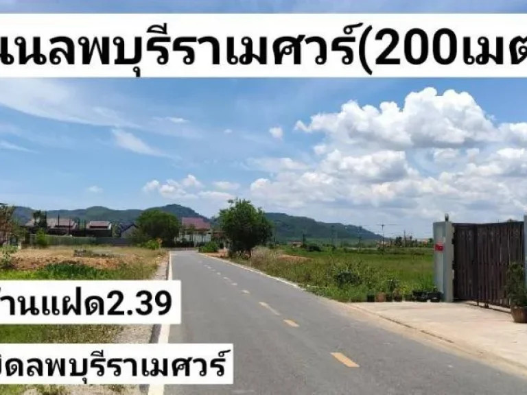 ขายบ้านแฝดใหม่ 38ตรว ใกล้ถนนลพบุรีราเมศวร์200เมตร ย่านมัสยิดกลางสงขลา ขาย239ล้านบาท