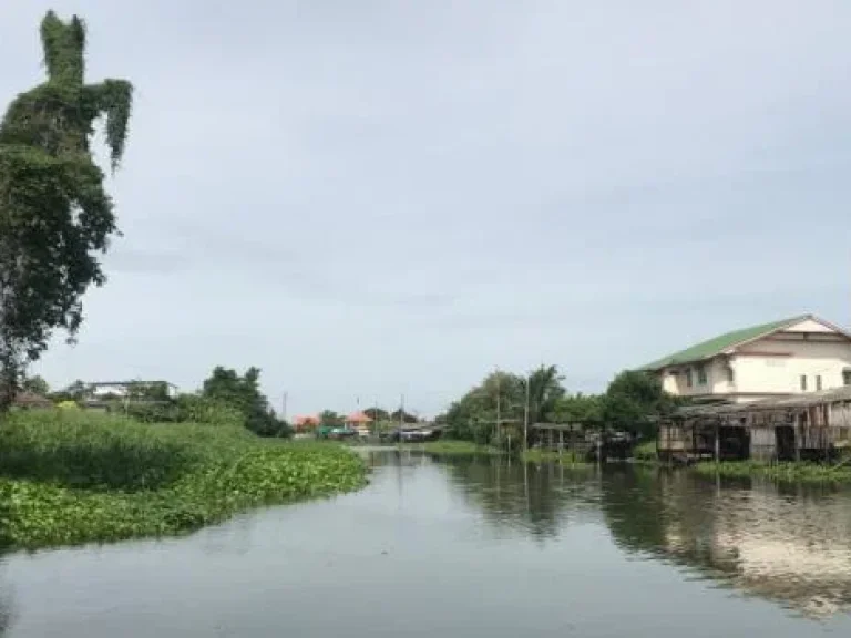 ขายที่ดินเปล่าตลาดบางใหญ๋ซี้ตี้ ทางเข้าตรงข้าม เซ็นทรัสเวสเกต อยู่ในซีตี้ แถวเทศบาลเสาธงหิน ถมแล้ว 100 ตรว