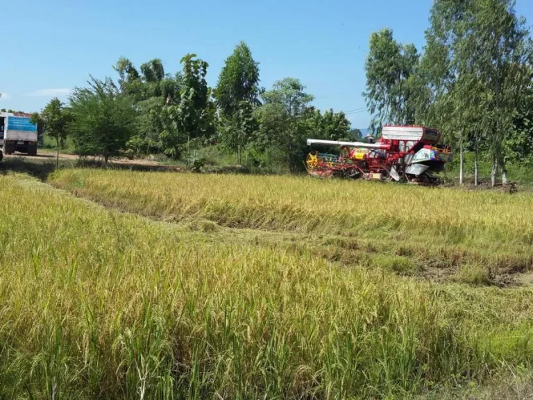 ขายที่ดิน ทำการเกษตร อุตสาหกรรม ติดถนน 4 เลน เมือง สุโขทัย