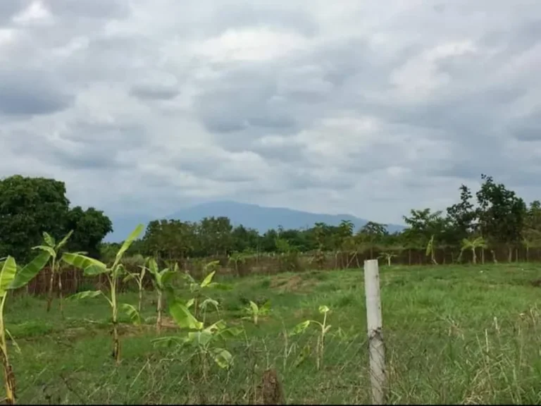 ขายที่ดินหางดงหารแก้ว ห่างถนนหลักเพียง 1km