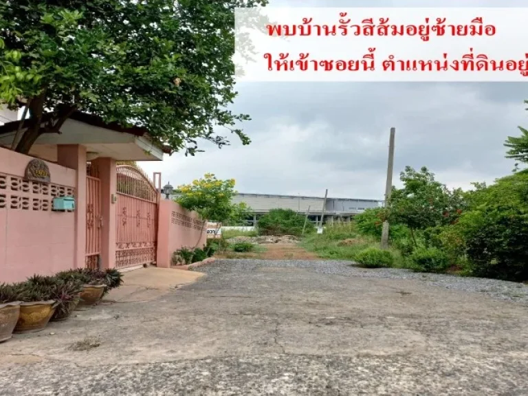 ขายที่ดินเปล่า 70 ตรว ซวัดจันทร์ทองเอี่ยม ถกาญจนาภิเษก อบางบัวทอง จนนทบุรี