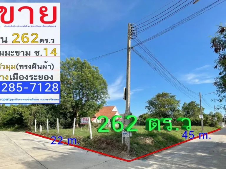 ขาย ที่ดินขนาด 262 ตรว ติดถนน ถมสูงกว่าถนน ใกล้ขนส่งใหม่ระยอง ถนนแหลมมะขาม อำเภอเมืองระยอง จังหวัดระยอง