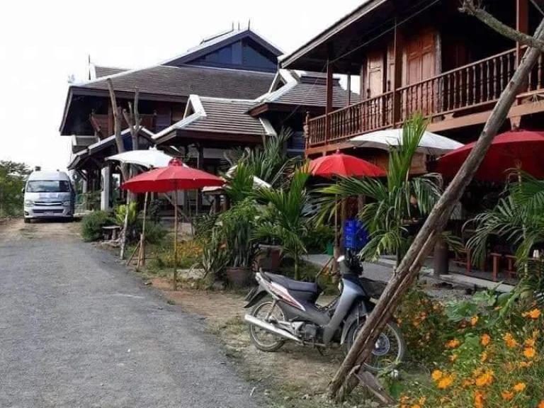 ขายกิจการ Home stay ดอยสะเก็ต วิวทุ่งนา ราคาถูก