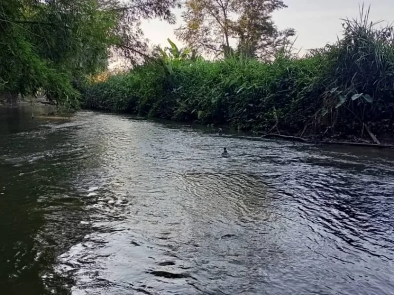 ขายที่ดินแม่ริมติดน้ำ วิวภูเขา เหมาะกับการเกษตร