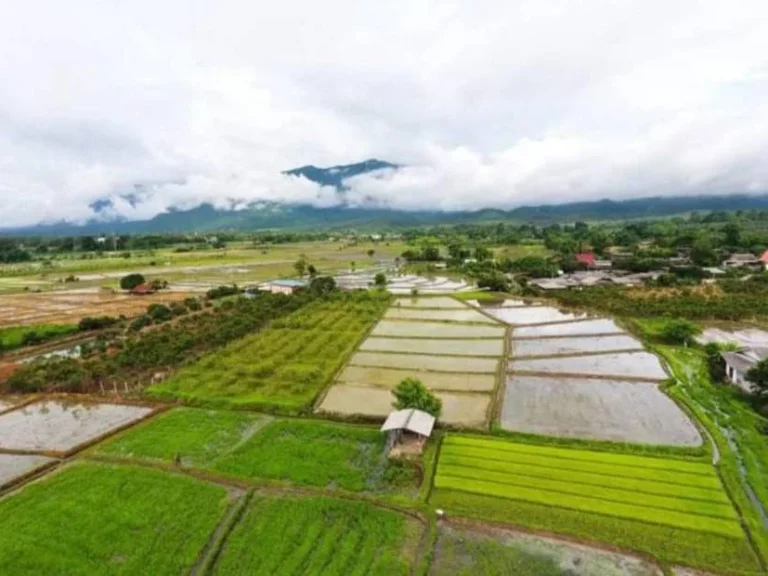 ขายที่ดินเมืองงายเชียงดาว วิวดอยหลวงติดภูเขาราคาถูก