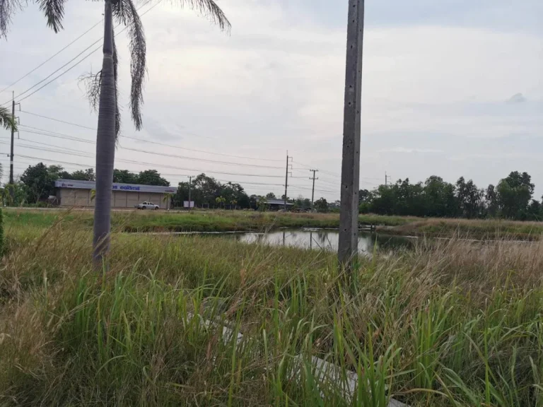 ขายที่ดินสวย ติดถนนใหญ่ อำเภอบ้านผือ จังหวัดอุดรธานี