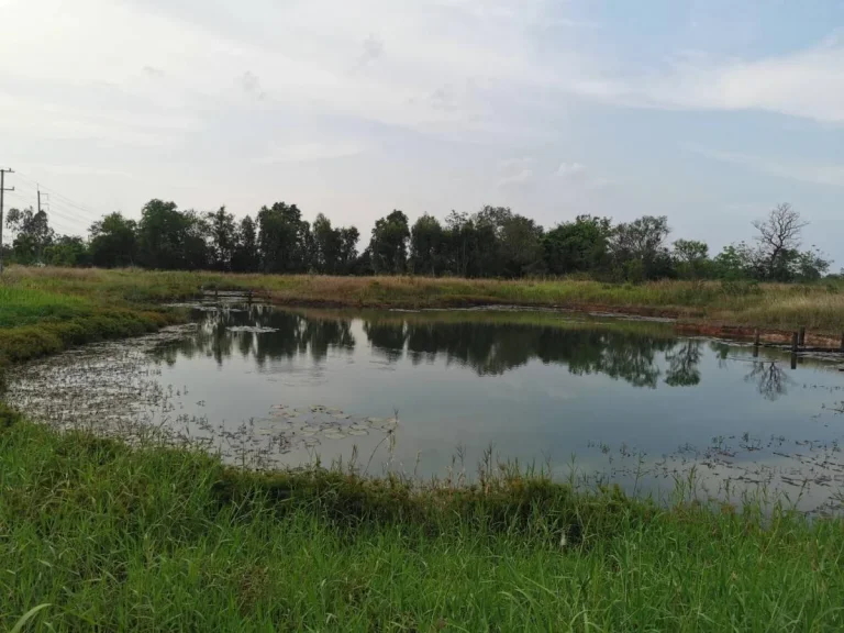 ขายที่ดินสวย ติดถนนใหญ่ อำเภอบ้านผือ จังหวัดอุดรธานี