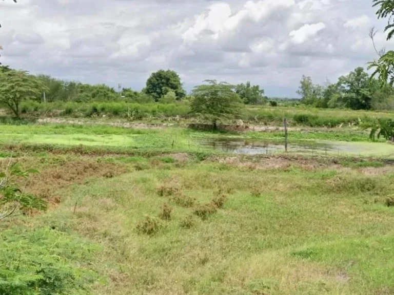 ขายที่ดินติดถนนสี่เลน สายเลี่ยงเมือง สันป่าตอง - ลำพูน อป่าซาง ลำพูน