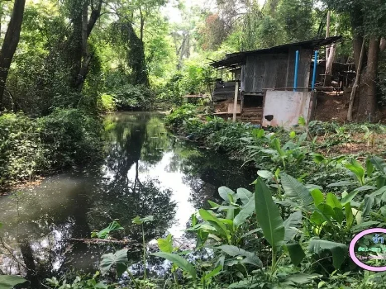 ขายที่ดิน ติดรุ่งอรุณน้ำพุร้อน บ้านโป่งนก ตำบลสหกรณ์ อำเภอแม่ออน จังหวัดเชียงใหม่