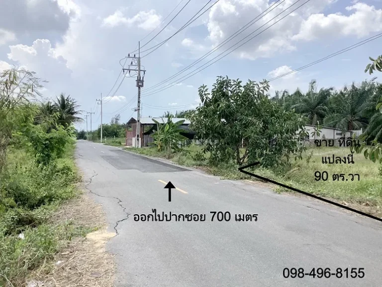 ขาย ที่ดิน 90 ตรวา รังสิตคลองแปด หนองเสือ บึงบอน ปทุมธานี 49 แสน เหมาะปลูกบ้านสวนเกษตร