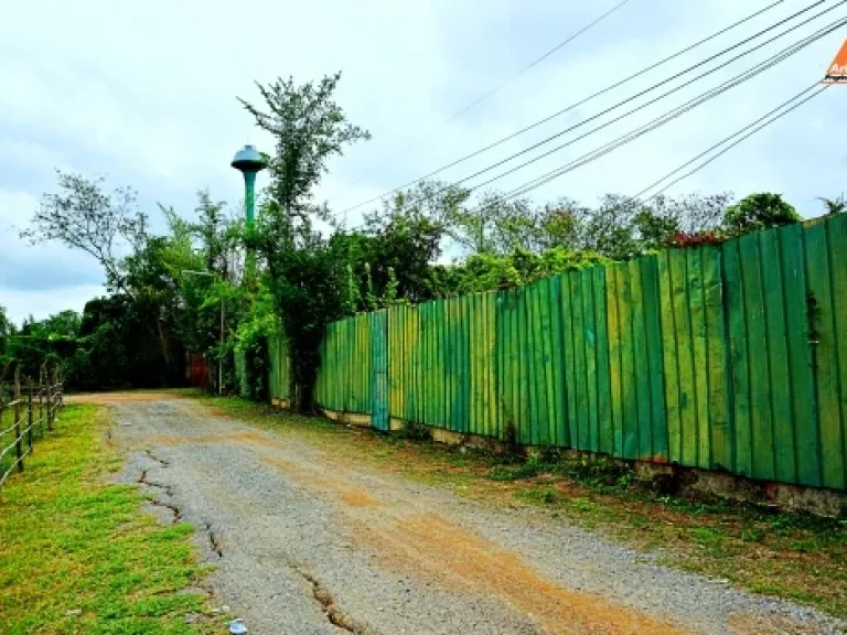 ขายที่ดินตรงข้ามสยามศิลาดล ถนนสันกำแพงสายเก่า ตำบลต้นเปา อำเภอสันกำแพง จังหวัดเชียงใหม่