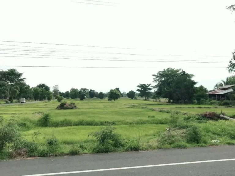 ขายที่ดินแปลงสวย 3ไร่ ติดถนนใหญ่ คุ้มค่าการลงทุน